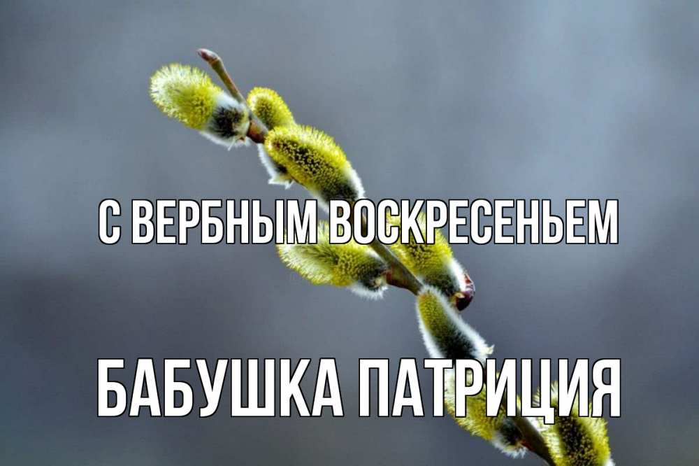 Открытка на каждый день с именем, Бабушка-Патриция С вербным воскресеньем верба Прикольная открытка с пожеланием онлайн скачать бесплатно 