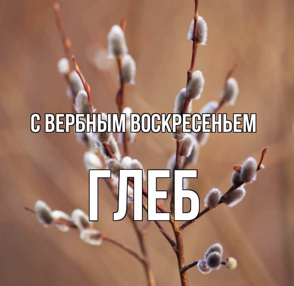 Открытка на каждый день с именем, Глеб С вербным воскресеньем верба Прикольная открытка с пожеланием онлайн скачать бесплатно 