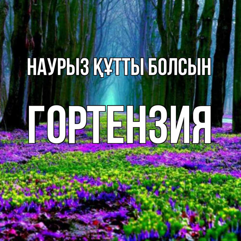 Открытка на каждый день с именем, Гортензия Наурыз құтты болсын фиолетовые цветы в лесу 1 Прикольная открытка с пожеланием онлайн скачать бесплатно 