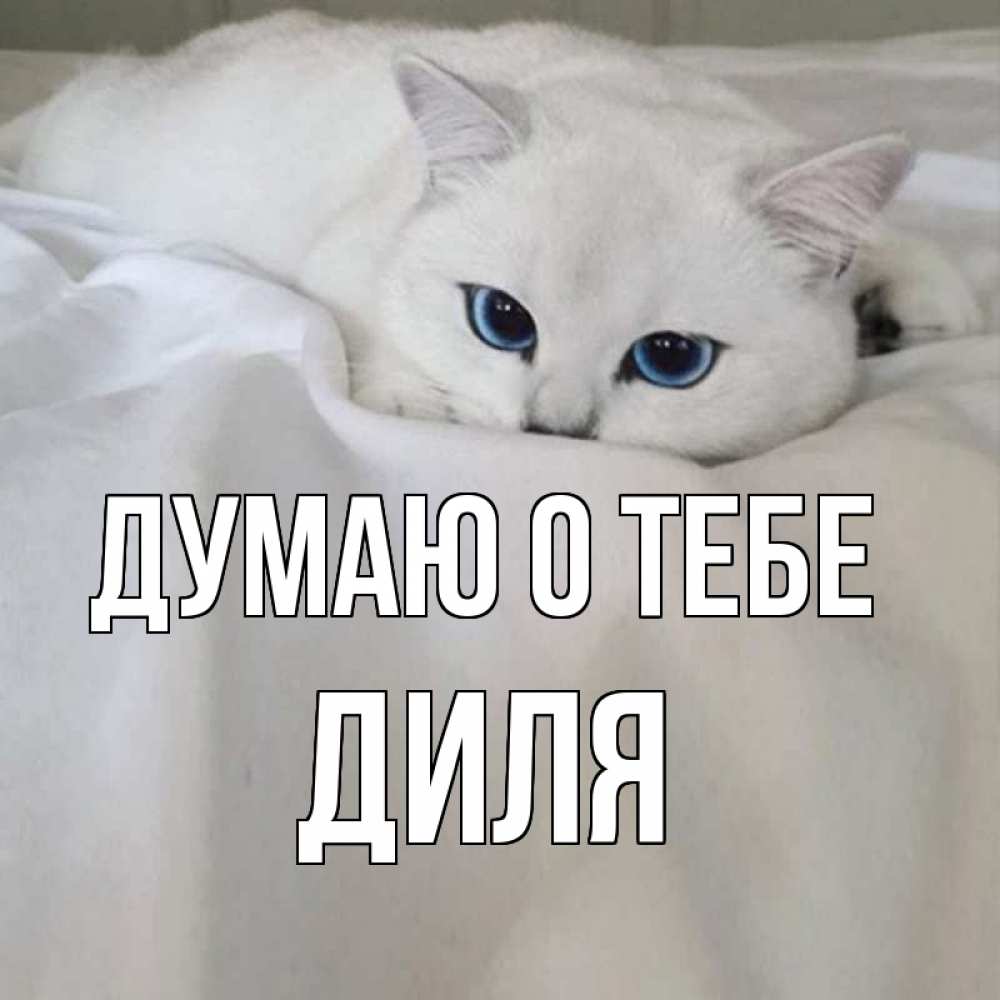 Открытка на каждый день с именем, Диля Думаю о тебе я очень по тебе скучаю и тоскую Прикольная открытка с пожеланием онлайн скачать бесплатно 