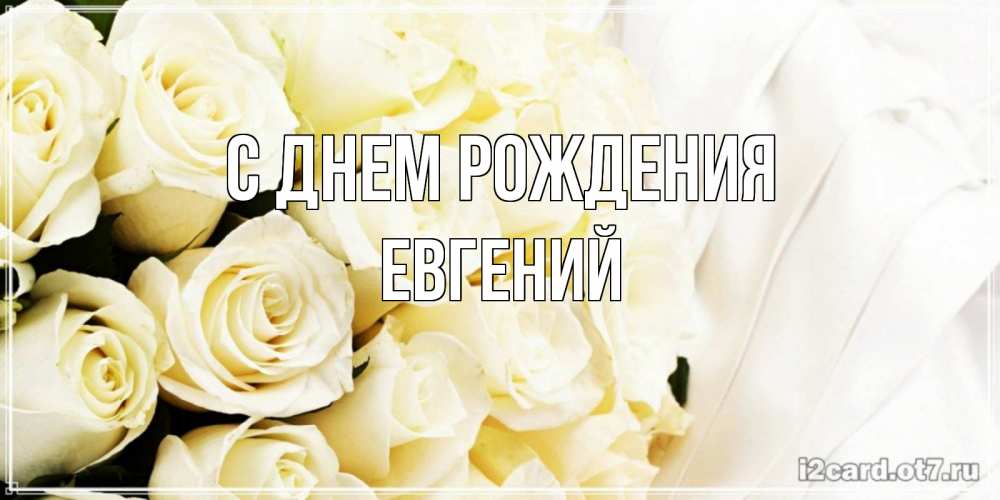 Открытка на каждый день с именем, Евгений С днем рождения белые розы в букете Прикольная открытка с пожеланием онлайн скачать бесплатно 
