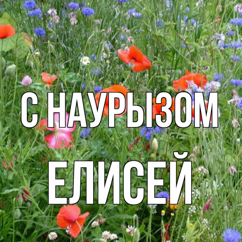 Открытка на каждый день с именем, Елисей С наурызом праздник весны наурыз супер открытка Прикольная открытка с пожеланием онлайн скачать бесплатно 