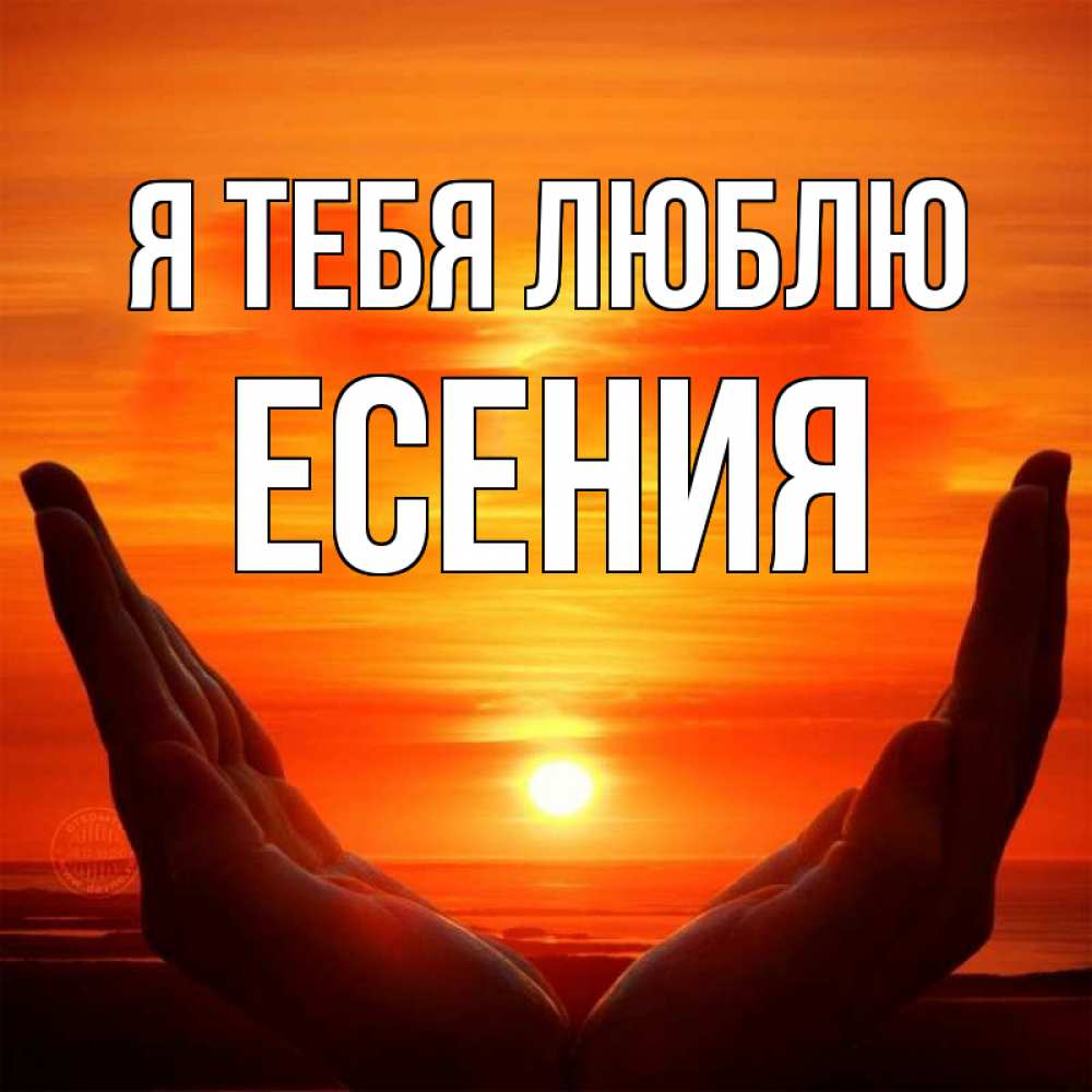 Открытка на каждый день с именем, Есения Я тебя люблю в руках Прикольная открытка с пожеланием онлайн скачать бесплатно 