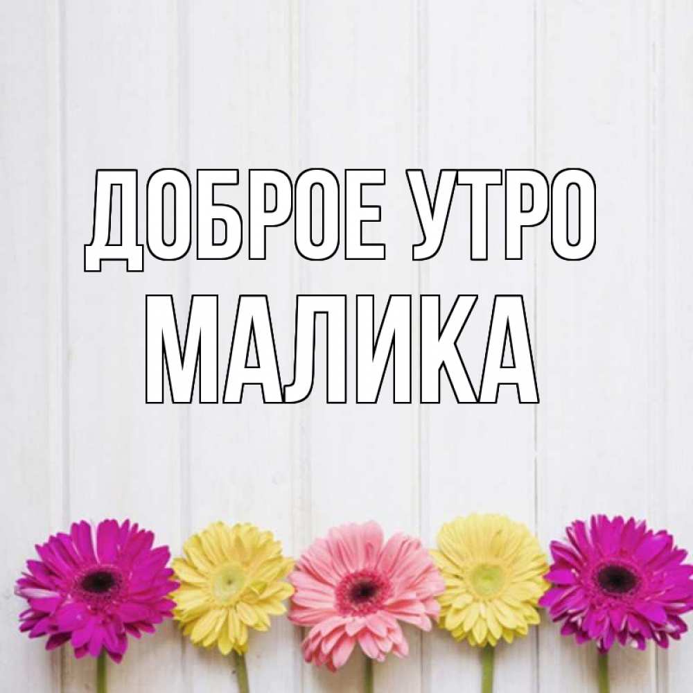 Открытка на каждый день с именем, Малика Доброе утро красный желтый и розовый цветок Прикольная открытка с пожеланием онлайн скачать бесплатно 