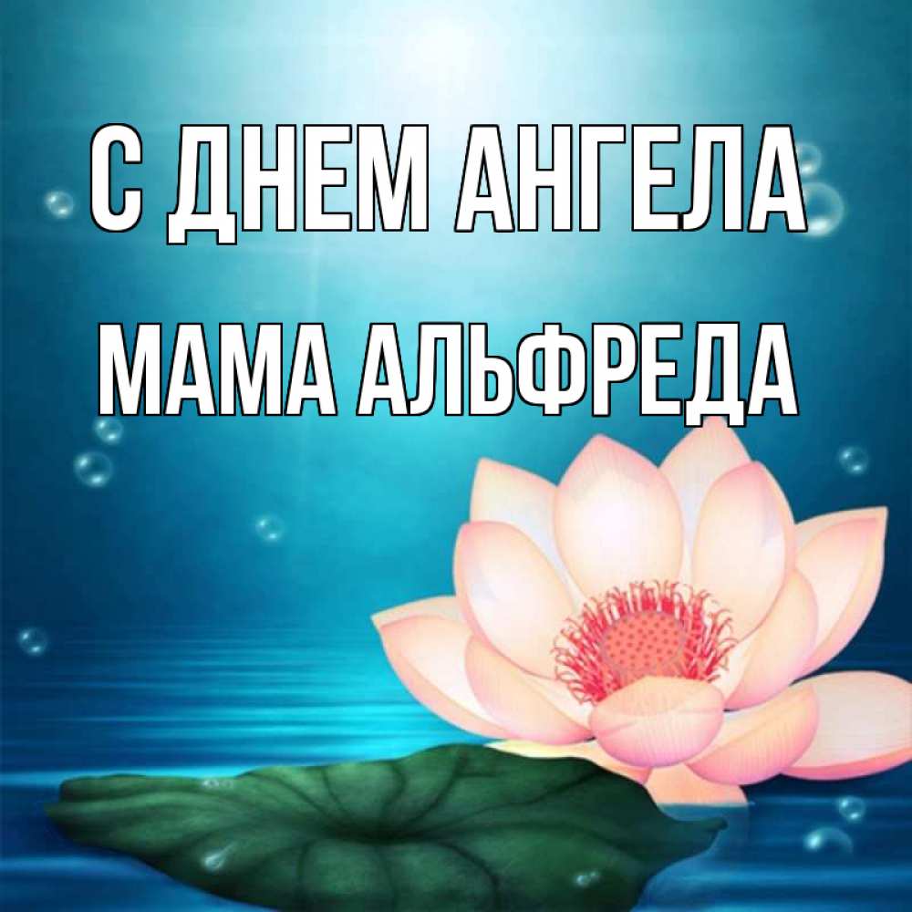 Открытка на каждый день с именем, Мама-Альфреда С днем ангела кувшинка Прикольная открытка с пожеланием онлайн скачать бесплатно 