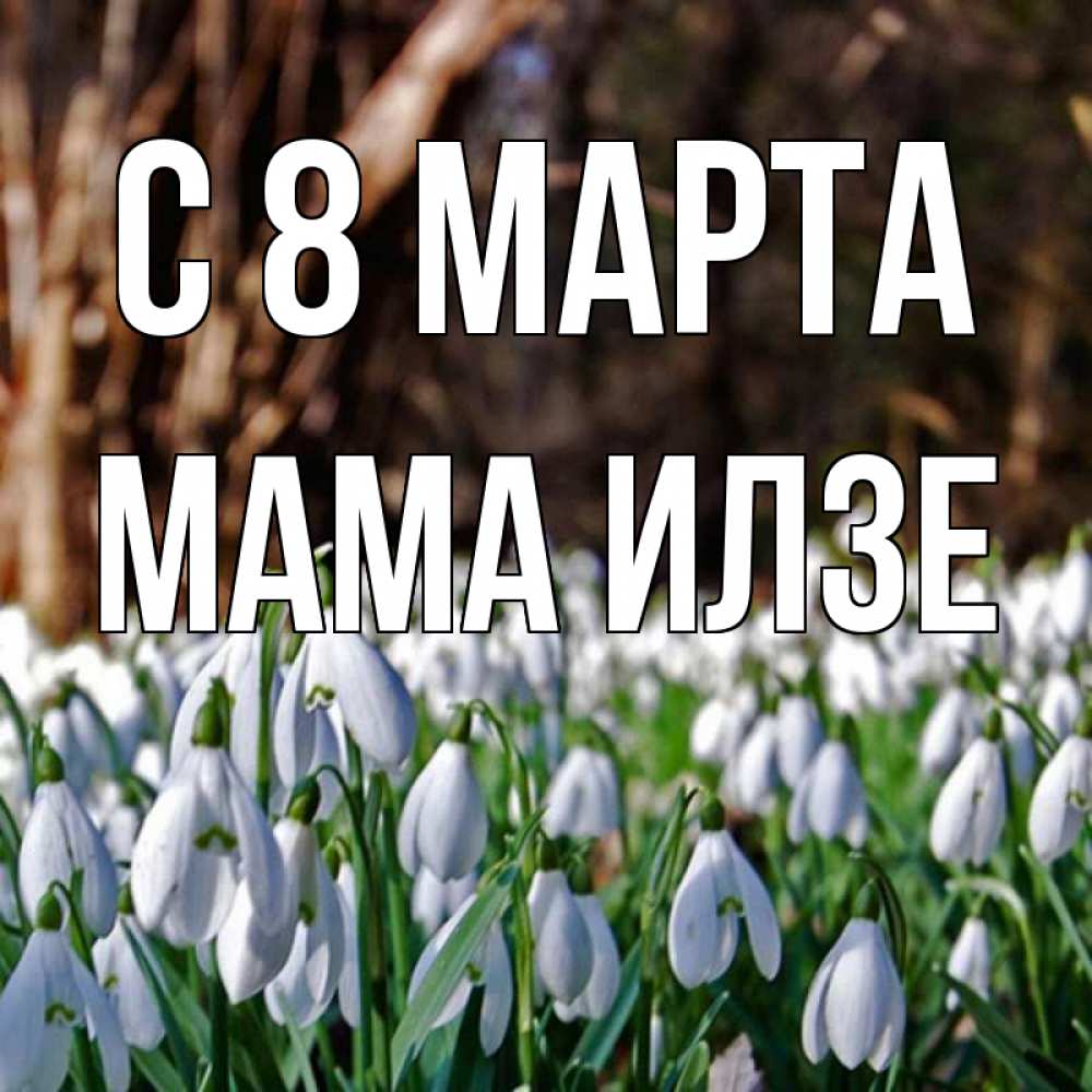 Открытка на каждый день с именем, Мама-Илзе С 8 марта с подснежниками 1 Прикольная открытка с пожеланием онлайн скачать бесплатно 