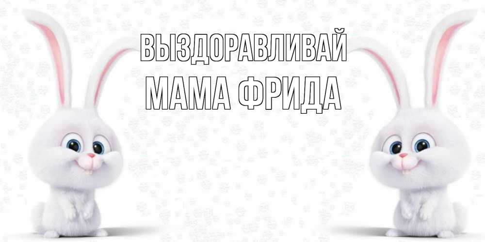 Открытка на каждый день с именем, Мама-Фрида Выздоравливай не болей с зайцем Прикольная открытка с пожеланием онлайн скачать бесплатно 