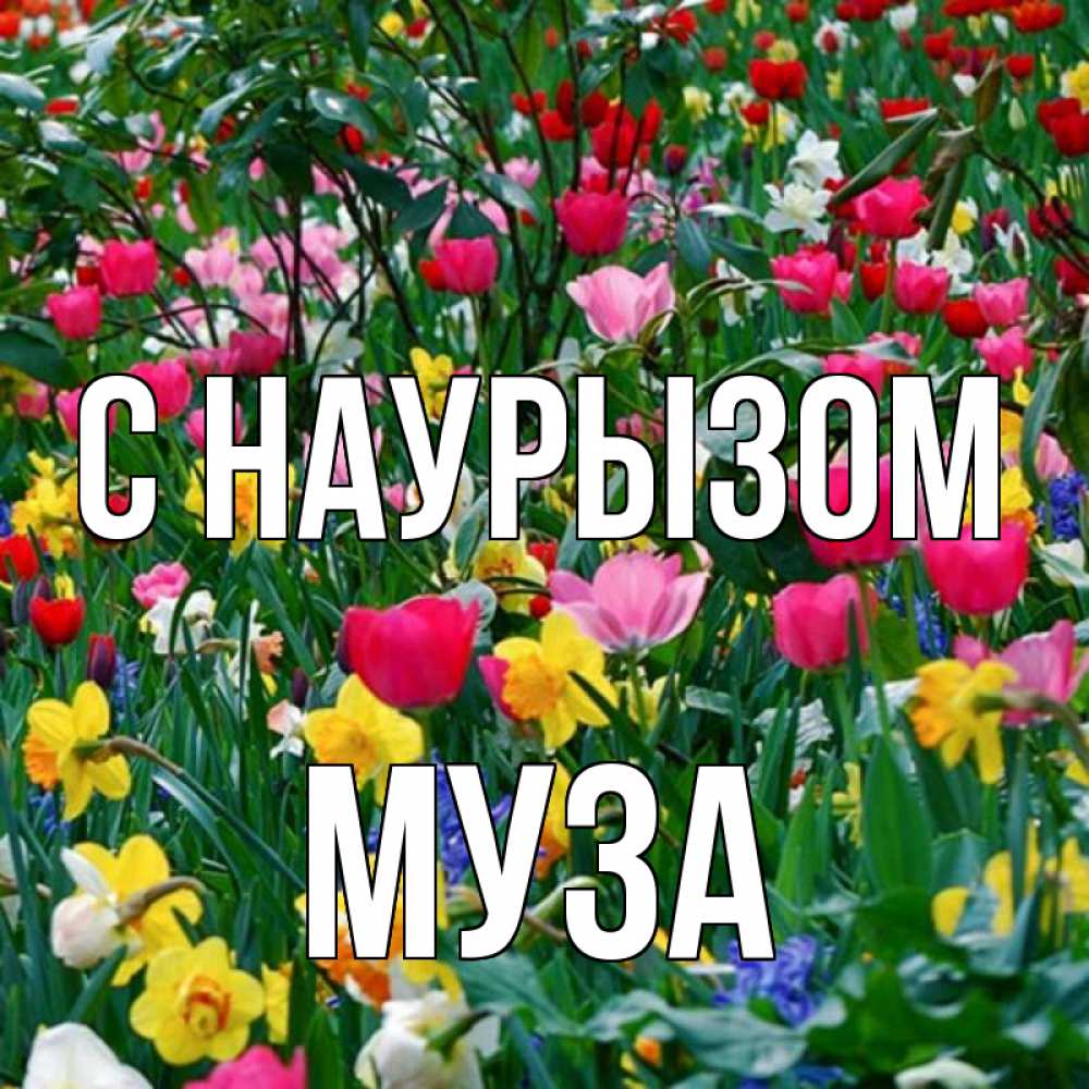 Открытка на каждый день с именем, Муза С наурызом с наурызом праздником весны поздравления для женщины Прикольная открытка с пожеланием онлайн скачать бесплатно 