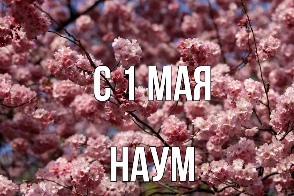 Открытка на каждый день с именем, Наум С 1 мая С 1 мая Прикольная открытка с пожеланием онлайн скачать бесплатно 