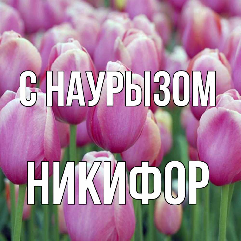 Открытка на каждый день с именем, Никифор С наурызом праздник весны наурыз 69 Прикольная открытка с пожеланием онлайн скачать бесплатно 
