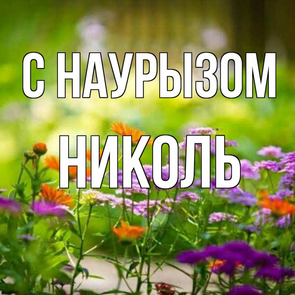 Открытка на каждый день с именем, Николь С наурызом цветы Прикольная открытка с пожеланием онлайн скачать бесплатно 