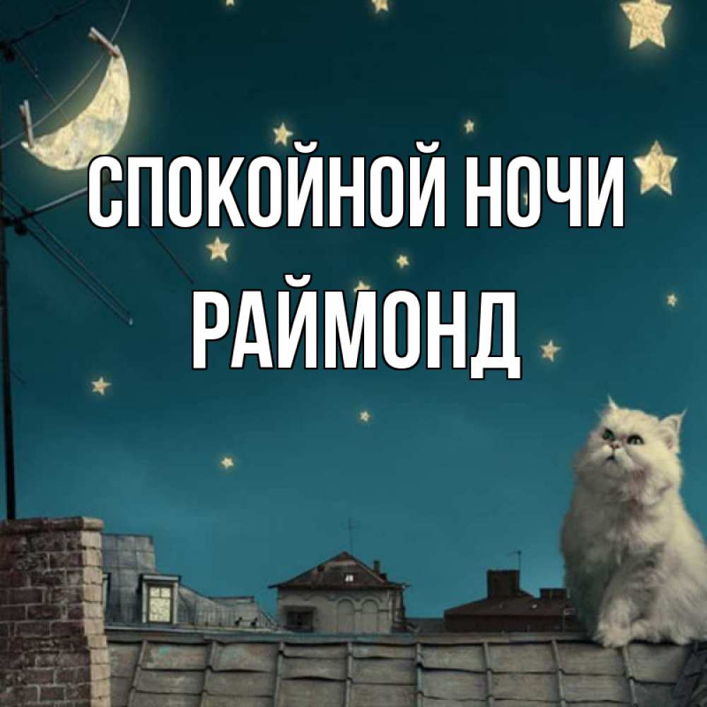 Открытка на каждый день с именем, Раймонд Спокойной ночи белый кот сидит на крыше Прикольная открытка с пожеланием онлайн скачать бесплатно 