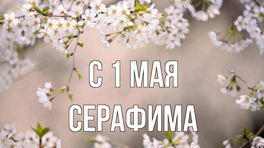 Открытка на каждый день с именем, Серафима С 1 мая С 1 мая Прикольная открытка с пожеланием онлайн скачать бесплатно 