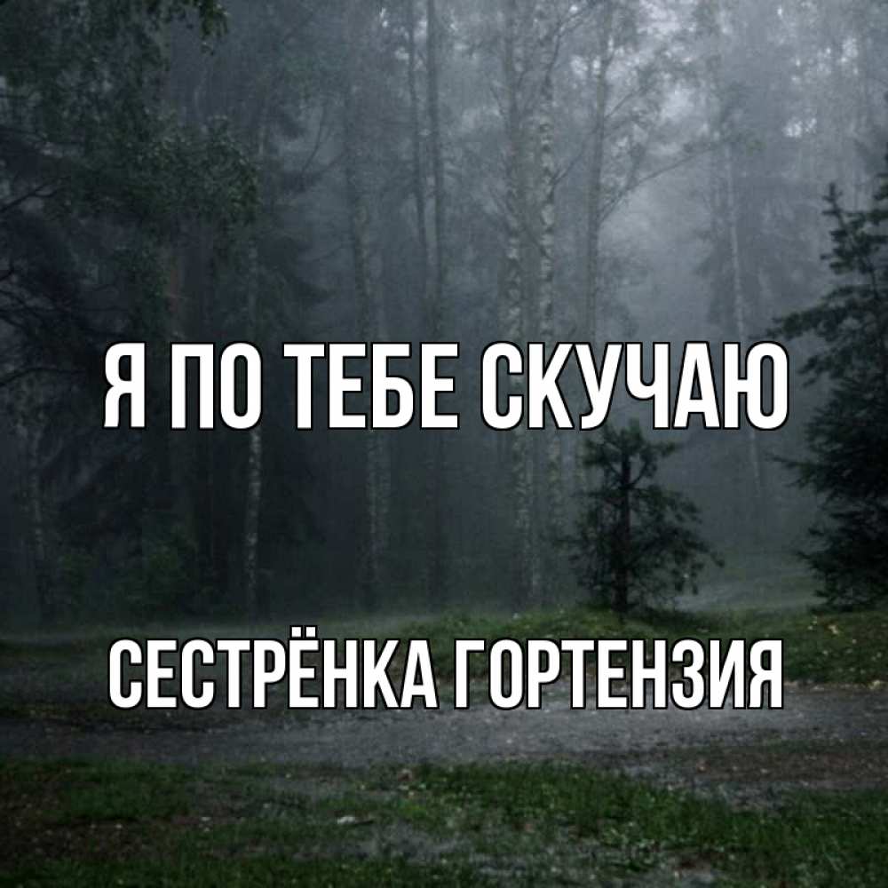 Открытка на каждый день с именем, Сестрёнка-Гортензия Я по тебе скучаю одна и плохо мне Прикольная открытка с пожеланием онлайн скачать бесплатно 