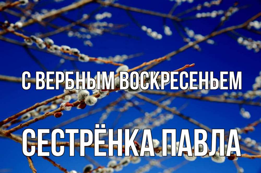 Открытка на каждый день с именем, Сестрёнка-Павла С вербным воскресеньем верба Прикольная открытка с пожеланием онлайн скачать бесплатно 