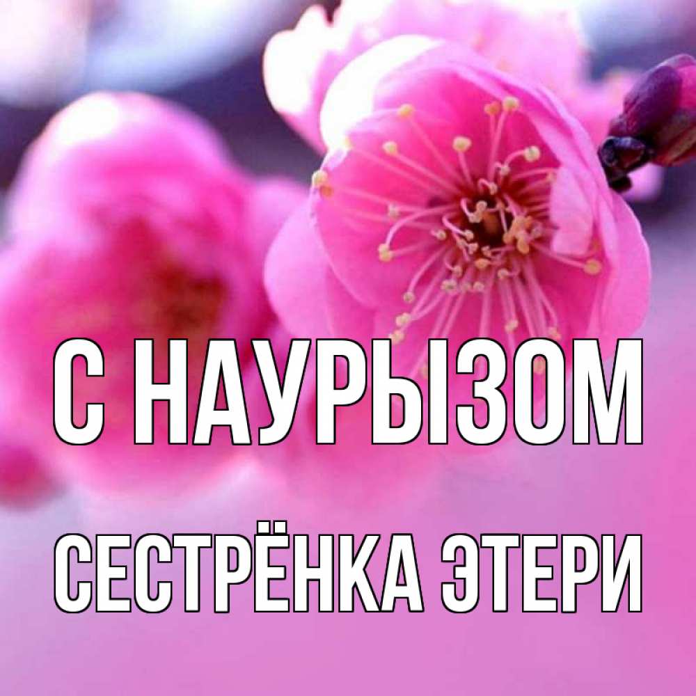 Открытка на каждый день с именем, Сестрёнка-Этери С наурызом международный женский день Прикольная открытка с пожеланием онлайн скачать бесплатно 