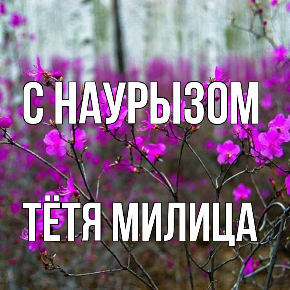 Открытка на каждый день с именем, Тётя-Милица С наурызом дикие цветы Прикольная открытка с пожеланием онлайн скачать бесплатно 