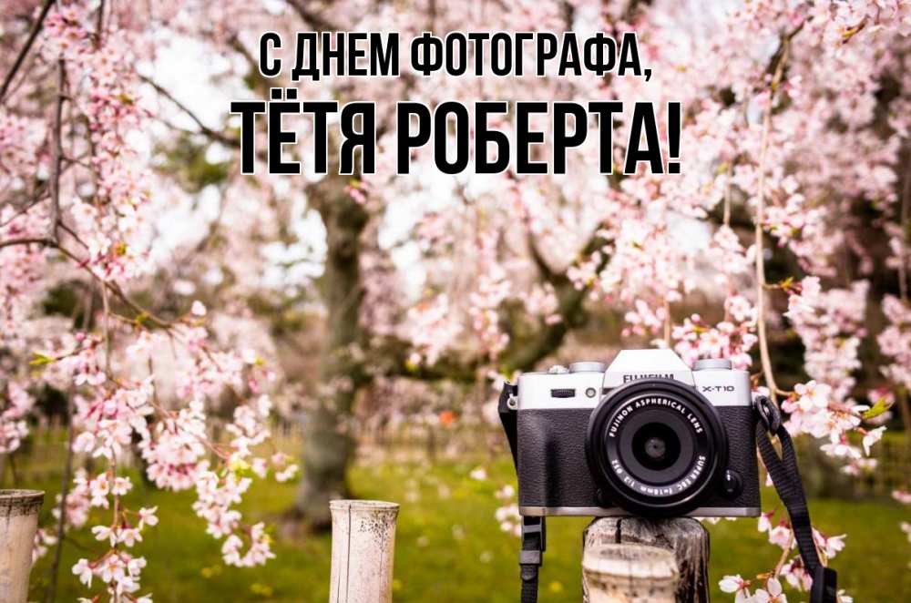 Открытка на каждый день с именем, Тётя-Роберта С днем фотографа сирень с днем фотографа, фотоаппарат Прикольная открытка с пожеланием онлайн скачать бесплатно 