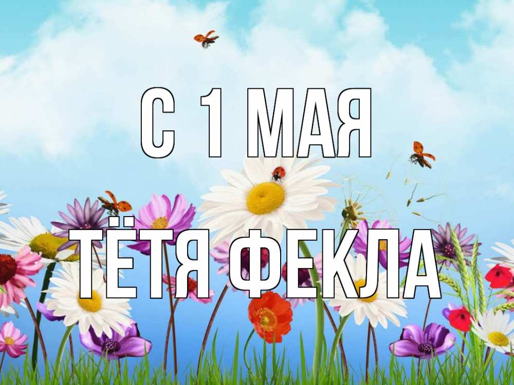 Открытка на каждый день с именем, Тётя-Фекла С 1 мая С 1 мая Прикольная открытка с пожеланием онлайн скачать бесплатно 