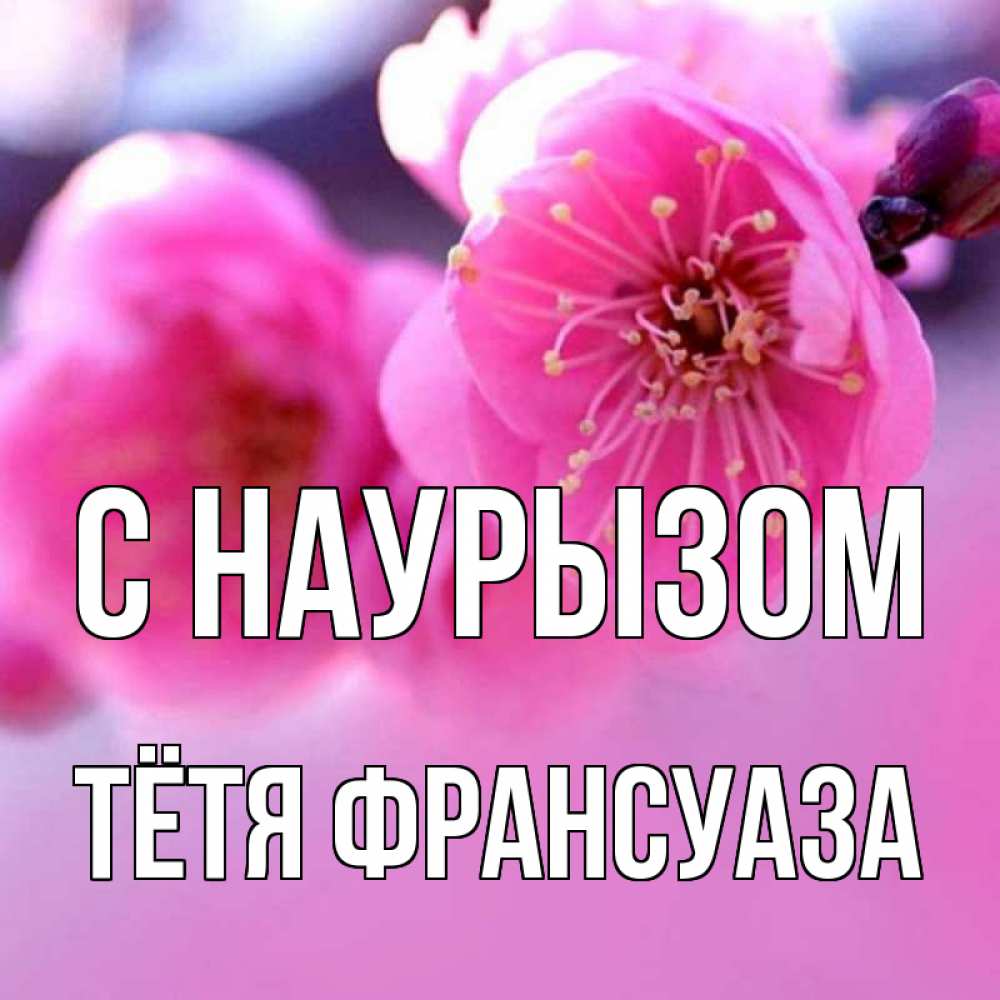 Открытка на каждый день с именем, Тётя-Франсуаза С наурызом международный женский день Прикольная открытка с пожеланием онлайн скачать бесплатно 