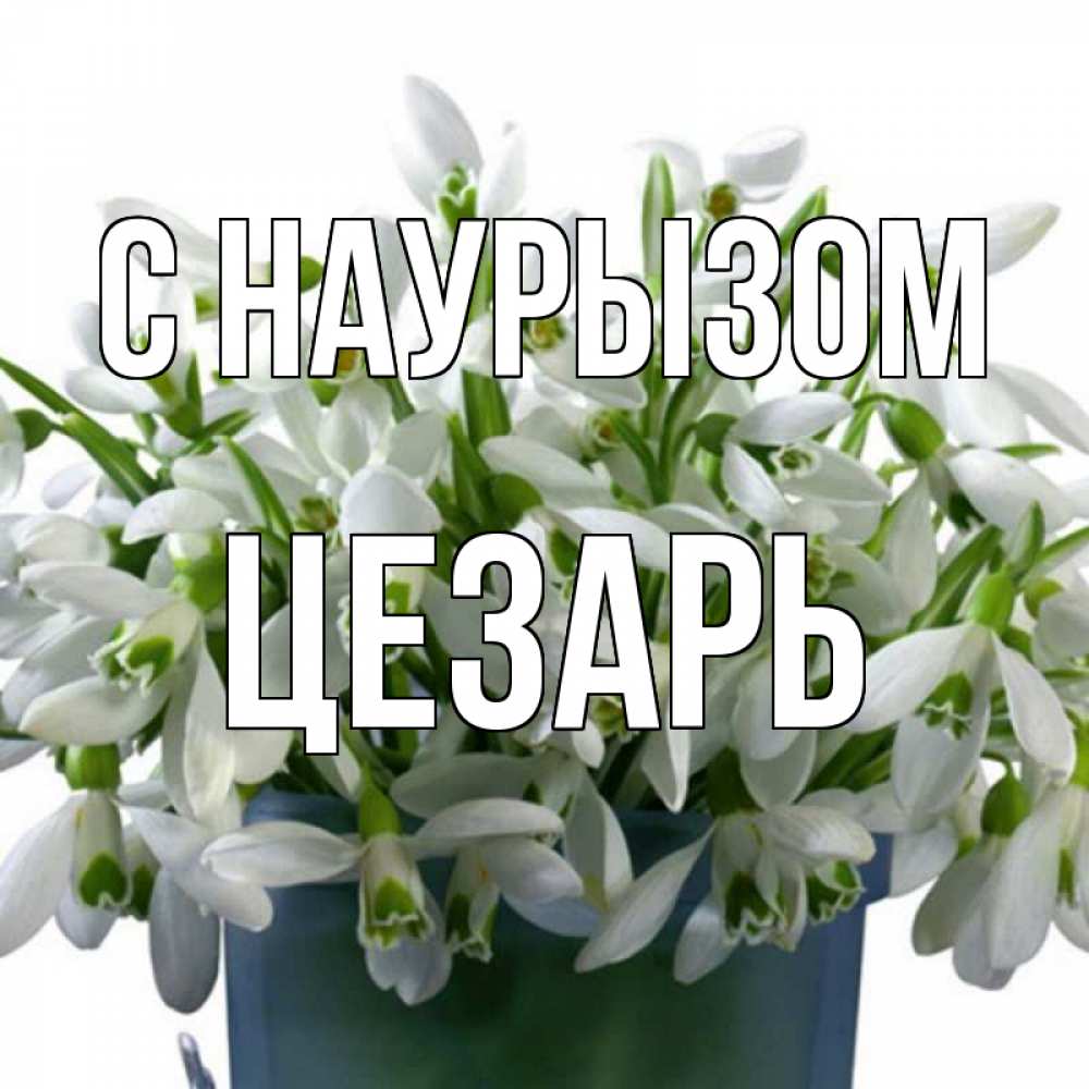 Открытка на каждый день с именем, Цезарь С наурызом цветы к наурызу новый год в Казахстане Прикольная открытка с пожеланием онлайн скачать бесплатно 