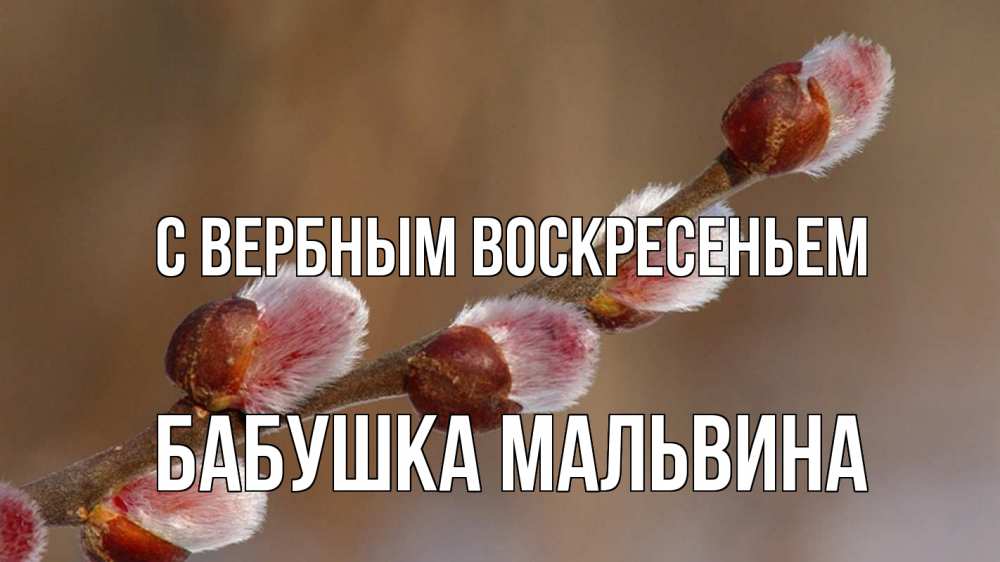 Открытка на каждый день с именем, Бабушка-Мальвина С вербным воскресеньем верба Прикольная открытка с пожеланием онлайн скачать бесплатно 