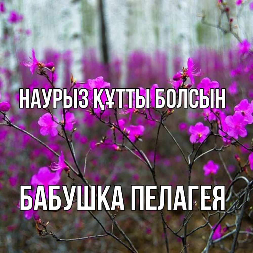 Открытка на каждый день с именем, Бабушка-Пелагея Наурыз құтты болсын дикие цветы Прикольная открытка с пожеланием онлайн скачать бесплатно 