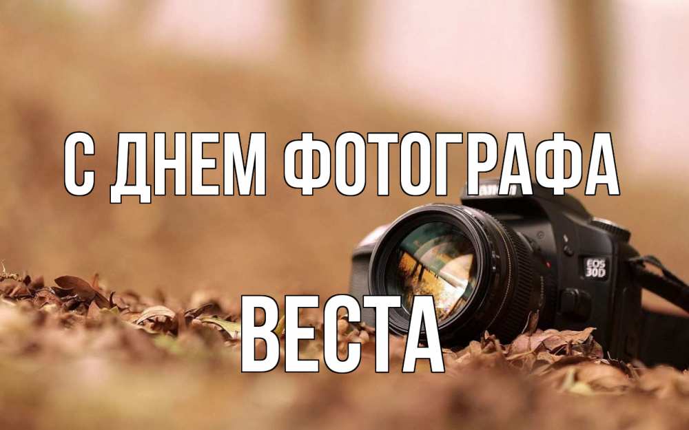 Открытка на каждый день с именем, Веста С днем фотографа с днем фотографа Прикольная открытка с пожеланием онлайн скачать бесплатно 