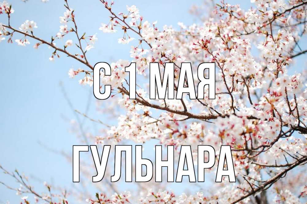 Открытка на каждый день с именем, Гульнара С 1 мая С 1 мая Прикольная открытка с пожеланием онлайн скачать бесплатно 
