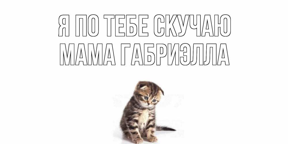Открытка на каждый день с именем, Мама-Габриэлла Я по тебе скучаю кот Прикольная открытка с пожеланием онлайн скачать бесплатно 