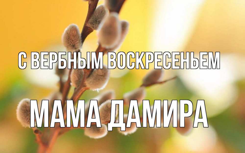 Открытка на каждый день с именем, Мама-Дамира С вербным воскресеньем верба Прикольная открытка с пожеланием онлайн скачать бесплатно 