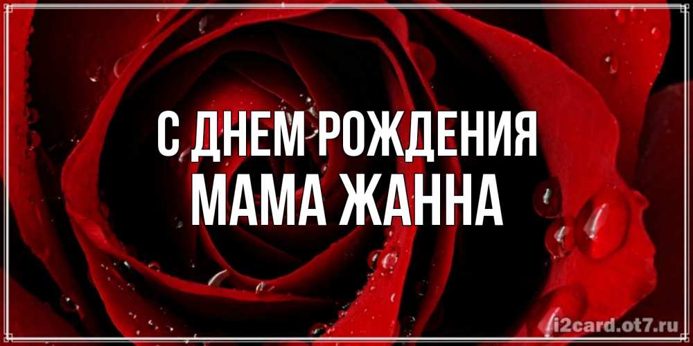 Открытка на каждый день с именем, Мама-Жанна С днем рождения крупная бордовая роза Прикольная открытка с пожеланием онлайн скачать бесплатно 
