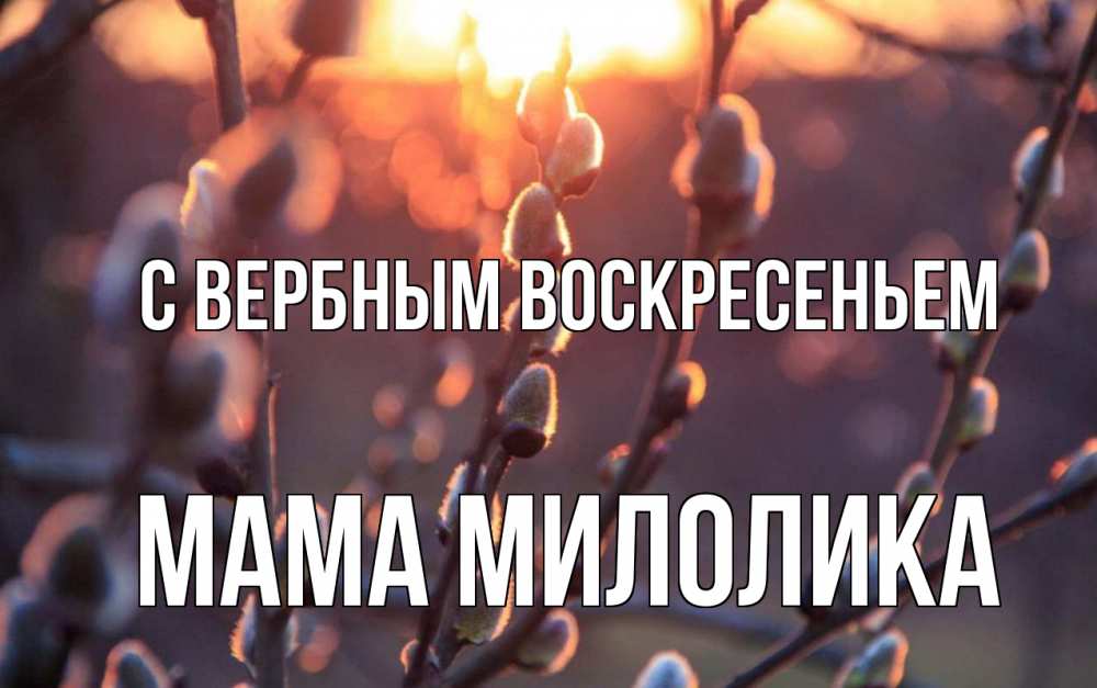 Открытка на каждый день с именем, Мама-Милолика С вербным воскресеньем верба Прикольная открытка с пожеланием онлайн скачать бесплатно 