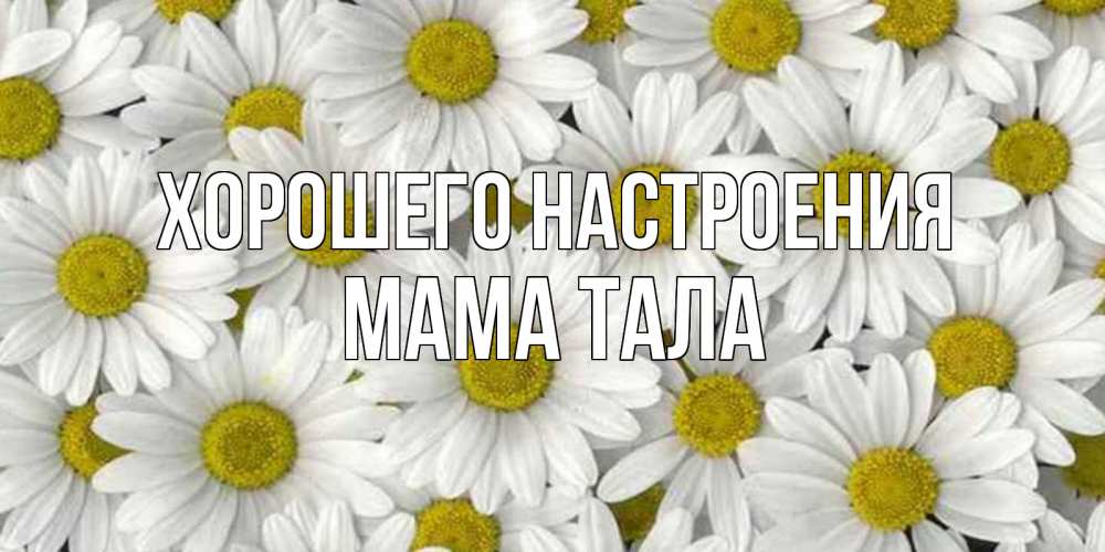 Открытка на каждый день с именем, Мама-Тала Хорошего настроения поляна ромашек Прикольная открытка с пожеланием онлайн скачать бесплатно 