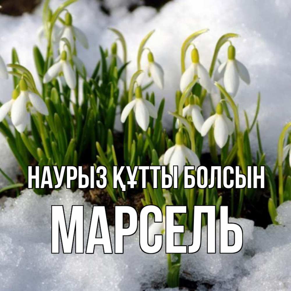 Открытка на каждый день с именем, Марсель Наурыз құтты болсын цветы весенние Прикольная открытка с пожеланием онлайн скачать бесплатно 