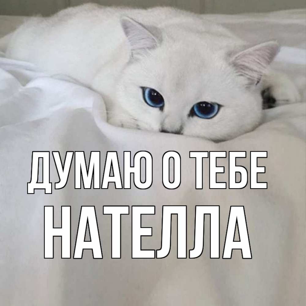 Открытка на каждый день с именем, Нателла Думаю о тебе я очень по тебе скучаю и тоскую Прикольная открытка с пожеланием онлайн скачать бесплатно 