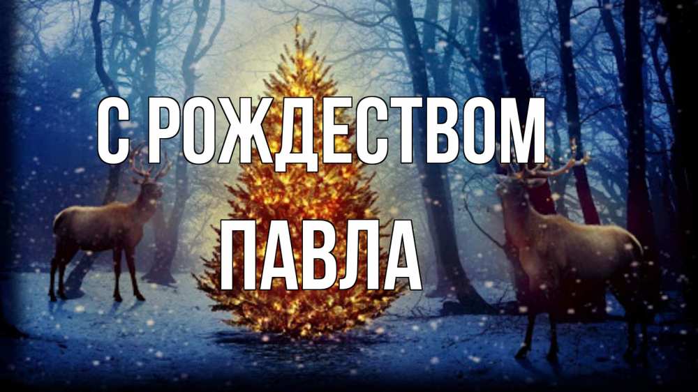 Открытка на каждый день с именем, Павла С рождеством олени, новогодняя елка Прикольная открытка с пожеланием онлайн скачать бесплатно 
