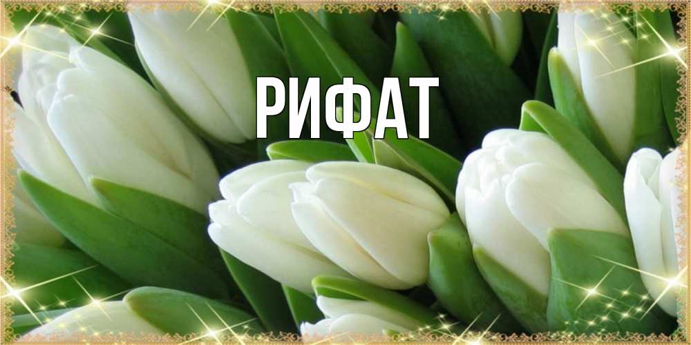 Открытка на каждый день с именем, Рифат Главная поздравляем с 8 марта Прикольная открытка с пожеланием онлайн скачать бесплатно 