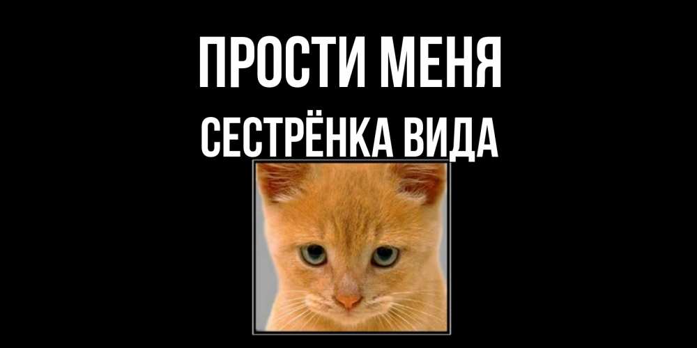 Открытка на каждый день с именем, Сестрёнка-Вида Прости меня рыжий грустный кот просит прощения Прикольная открытка с пожеланием онлайн скачать бесплатно 