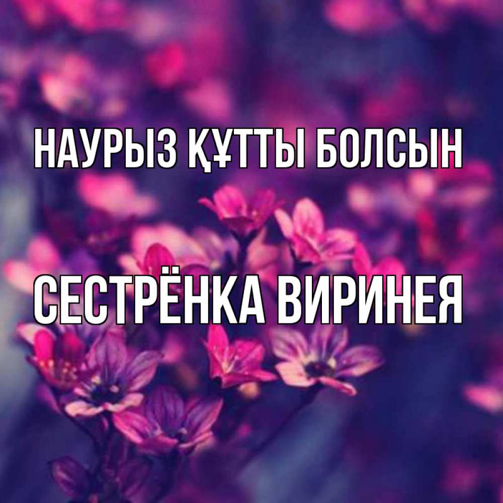 Открытка на каждый день с именем, Сестрёнка-Виринея Наурыз құтты болсын небольшие цветы 1 Прикольная открытка с пожеланием онлайн скачать бесплатно 