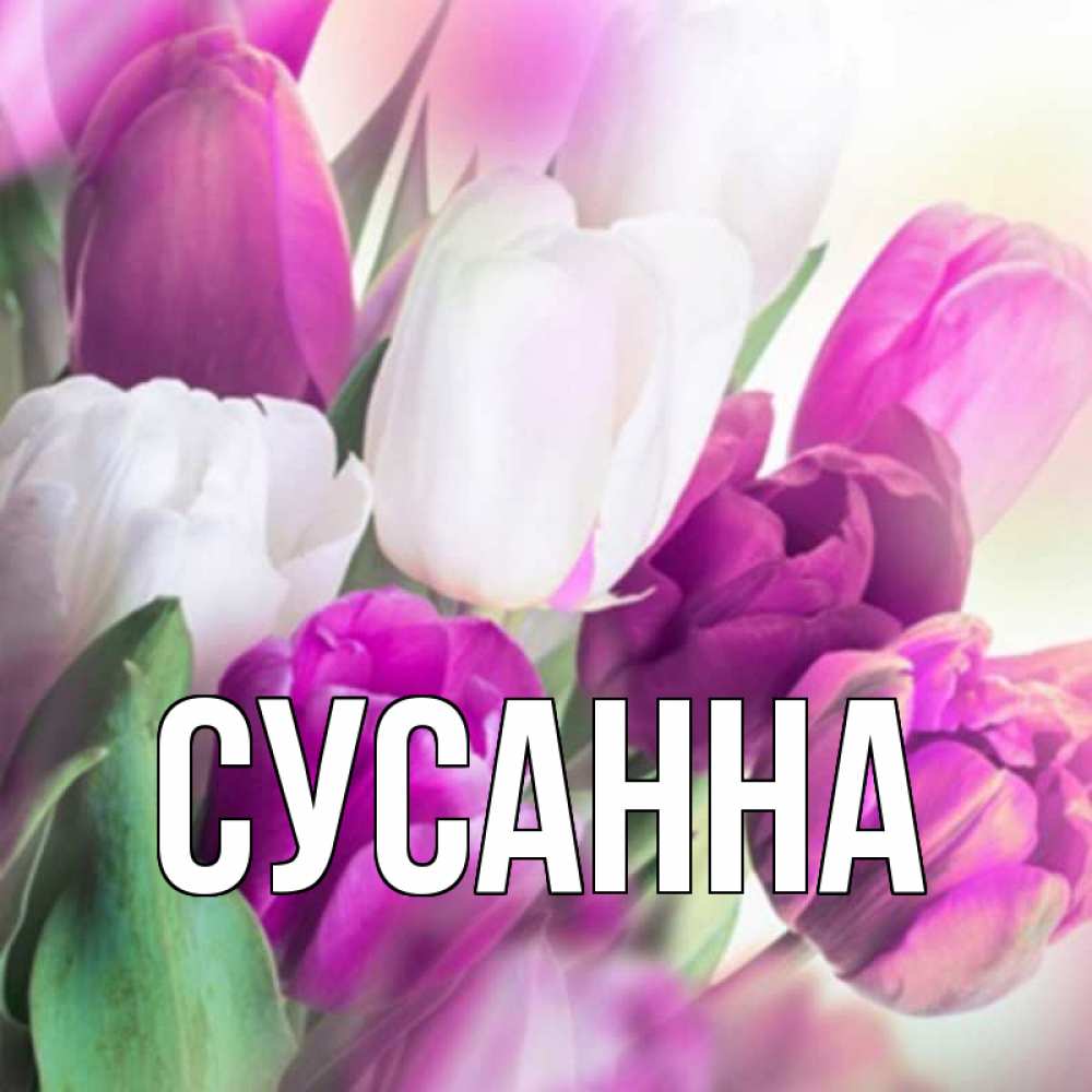 Открытки С Днем Рождения Сюзанна