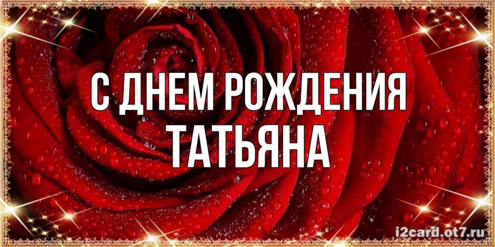 Открытка на каждый день с именем, ТАтьяна С днем рождения роса на розе блестящая в лучах солнца Прикольная открытка с пожеланием онлайн скачать бесплатно 
