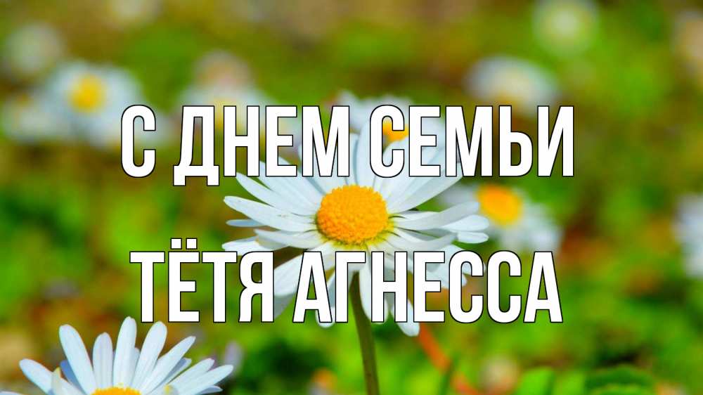 Открытка на каждый день с именем, Тётя-Агнесса С днем семьи с днем семьи Прикольная открытка с пожеланием онлайн скачать бесплатно 