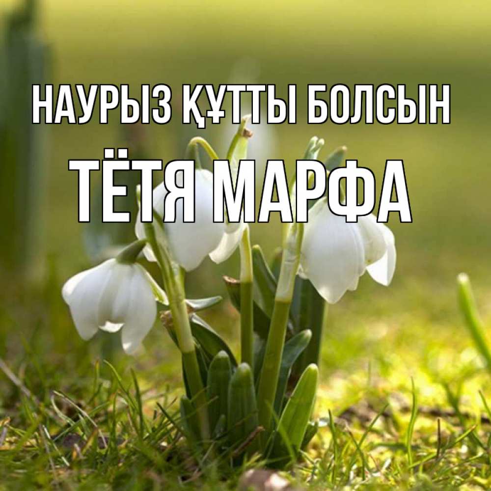 Открытка на каждый день с именем, Тётя-Марфа Наурыз құтты болсын ранние цветы 2 Прикольная открытка с пожеланием онлайн скачать бесплатно 