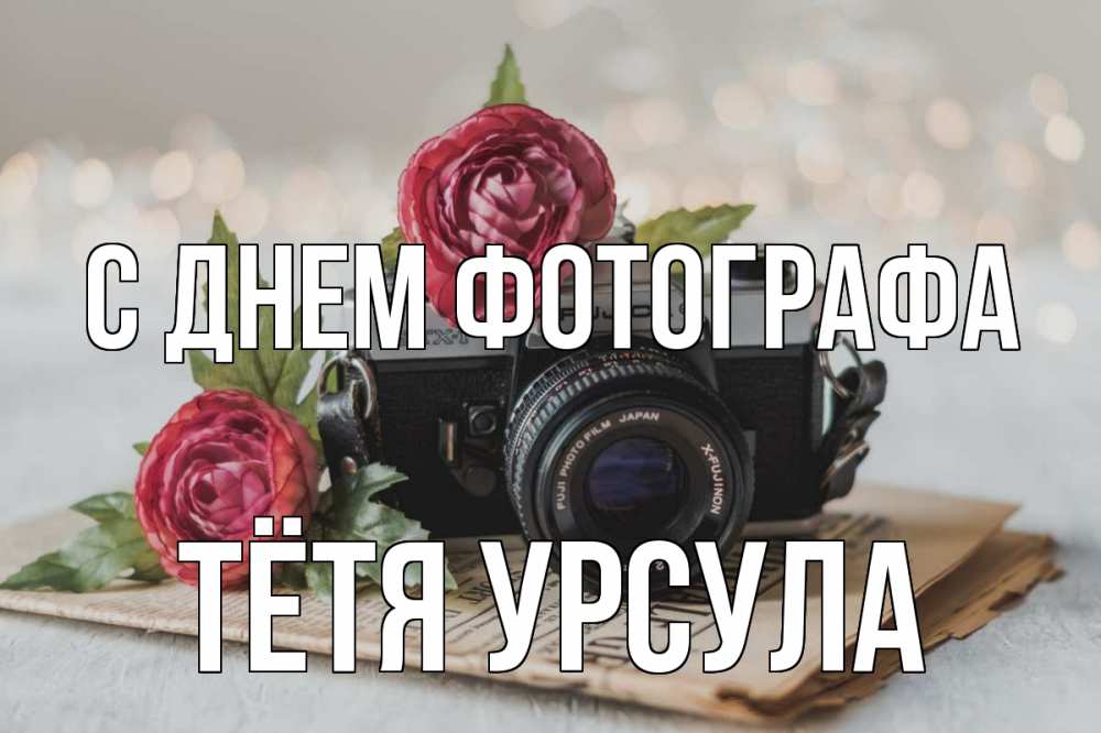 Открытка на каждый день с именем, Тётя-Урсула С днем фотографа с днем фотографа Прикольная открытка с пожеланием онлайн скачать бесплатно 