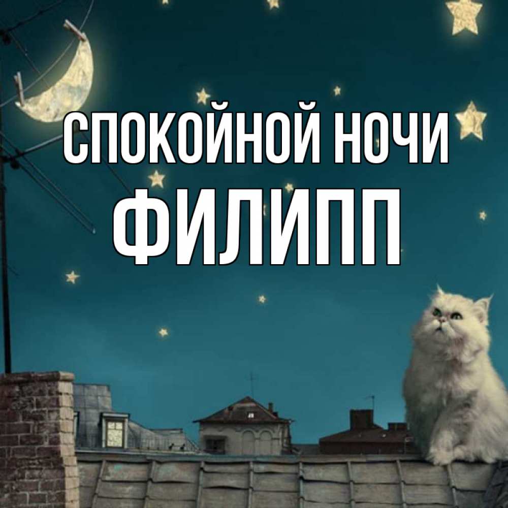 Открытка на каждый день с именем, Филипп Спокойной ночи белый кот сидит на крыше Прикольная открытка с пожеланием онлайн скачать бесплатно 
