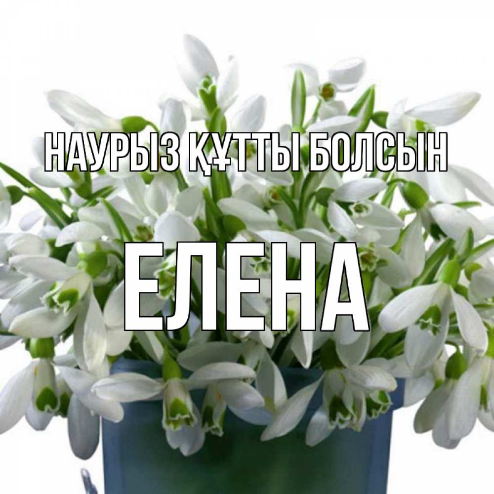 Открытка на каждый день с именем, Елена Наурыз құтты болсын цветы к наурызу Прикольная открытка с пожеланием онлайн скачать бесплатно 