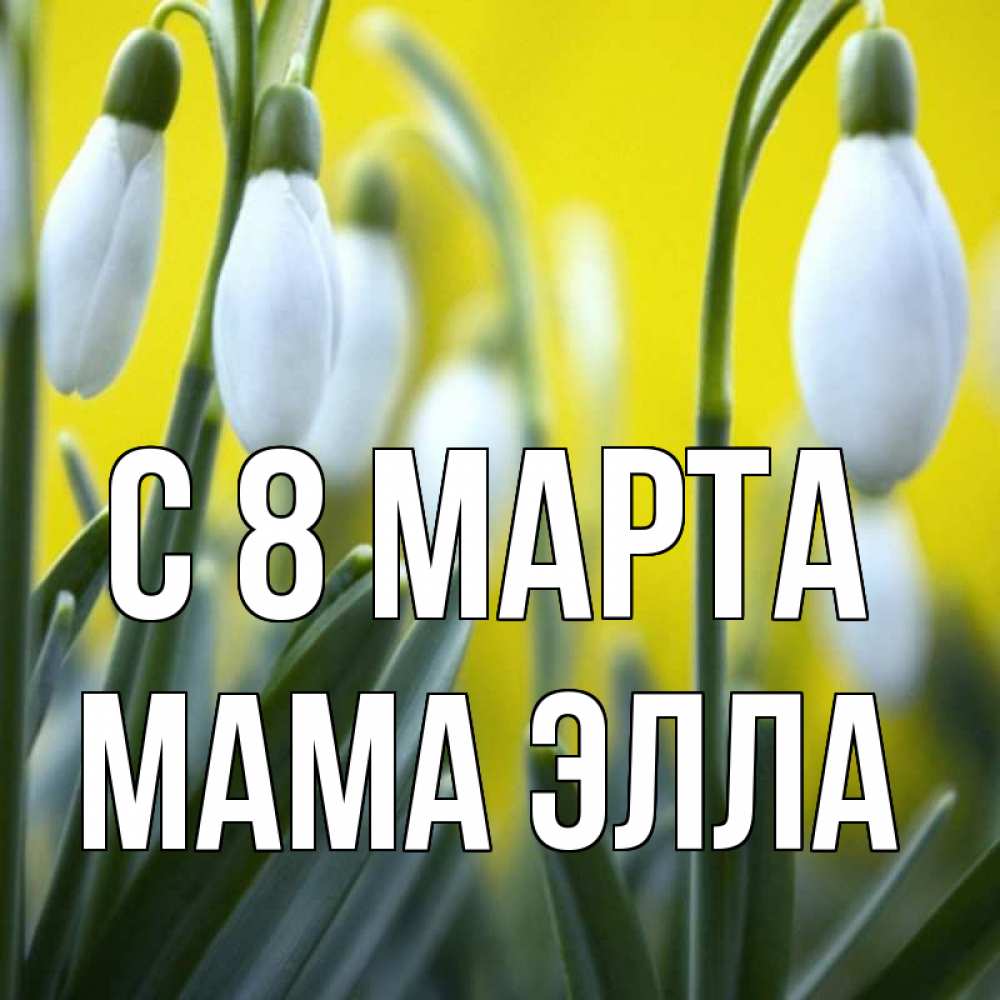 Открытка на каждый день с именем, Мама-Элла С 8 МАРТА весенние цветы Прикольная открытка с пожеланием онлайн скачать бесплатно 