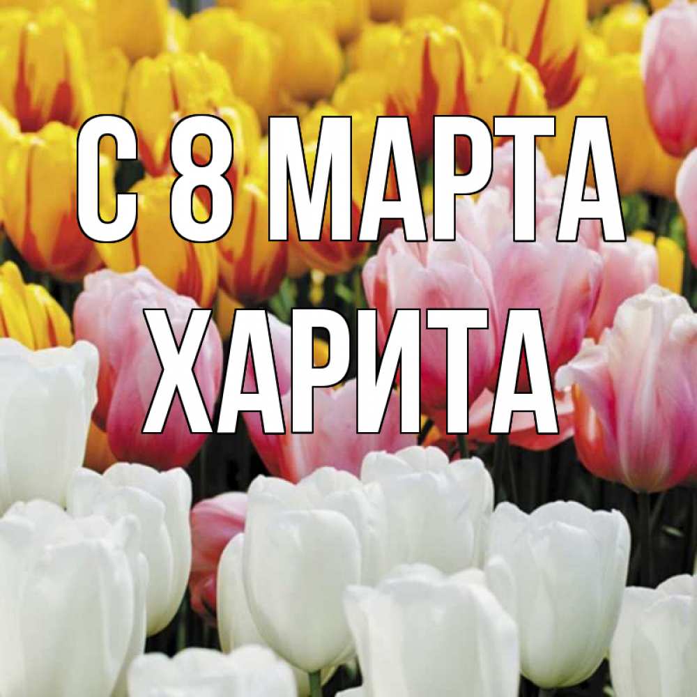 Открытка на каждый день с именем, Харита С 8 МАРТА разноцветные цветы Прикольная открытка с пожеланием онлайн скачать бесплатно 