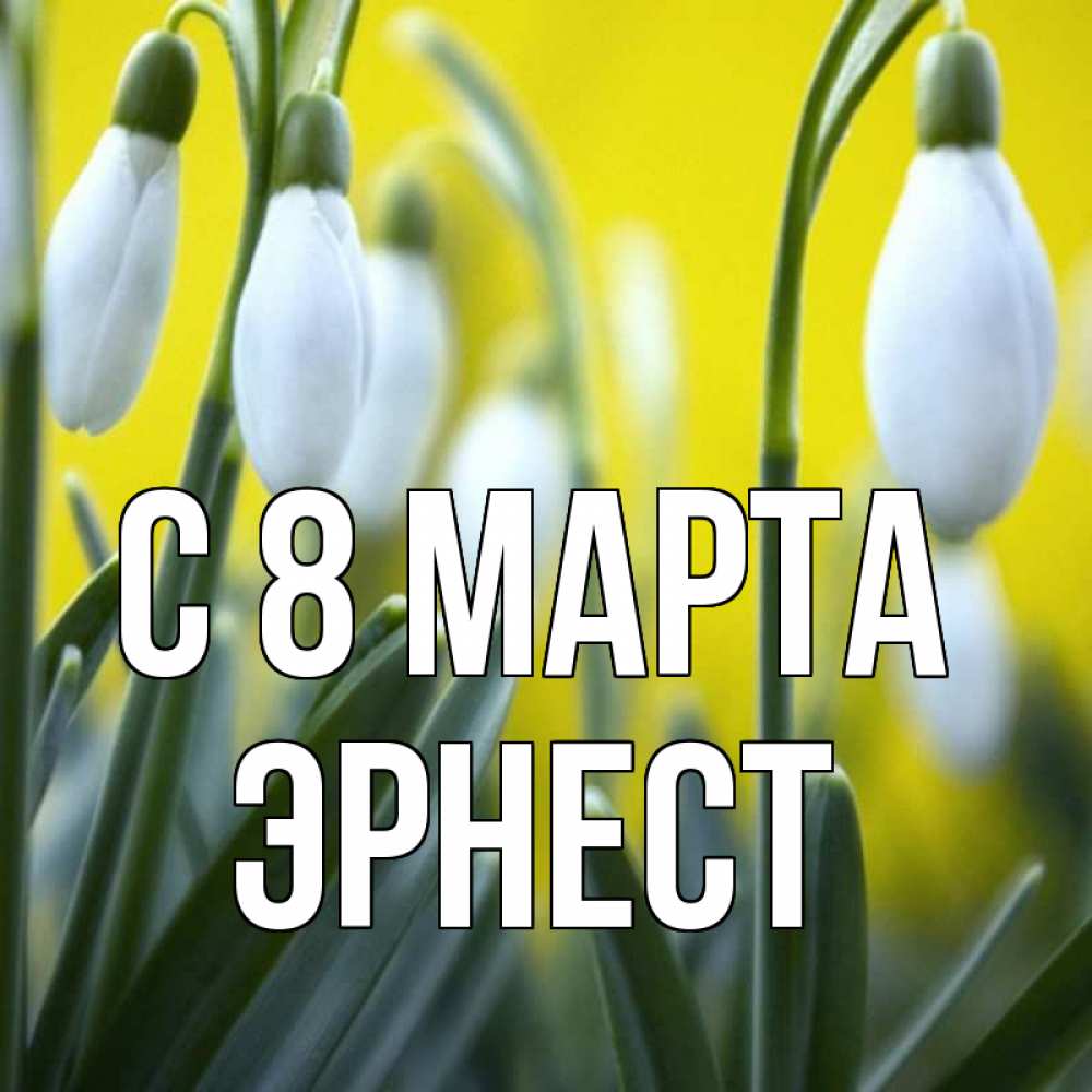 Открытка на каждый день с именем, Эрнест С 8 марта весенние цветы Прикольная открытка с пожеланием онлайн скачать бесплатно 